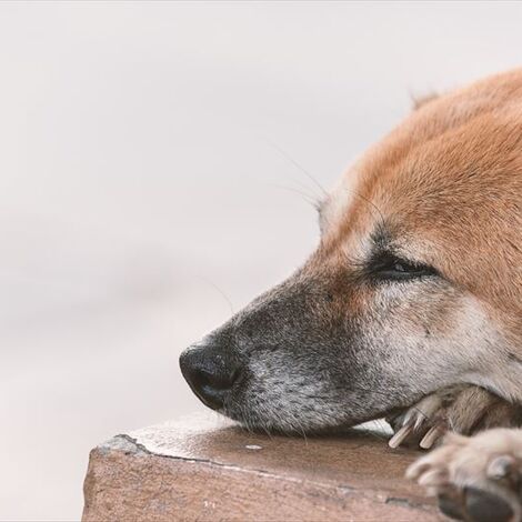 rf60533899_plusone160600135_R